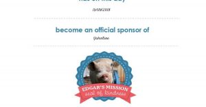 Power-Pets-sponsor-Valentine-the-Cow-at-Edgars-Mission-Feature-Image