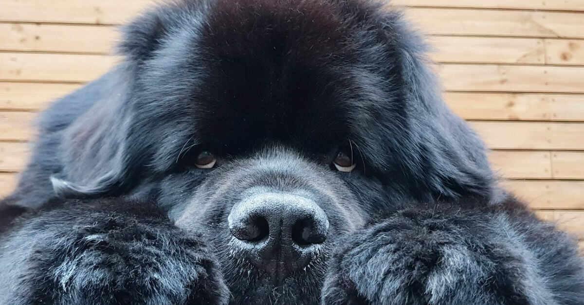 Upside Down (2013) Movie Trailer Kirsten Dunst, Jim Sturgess