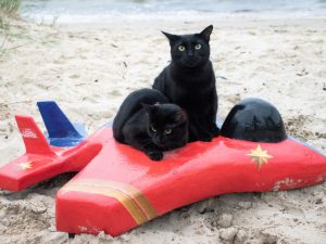 Power-Pets-x-Captain-Marvel-Cats-in-the-Meowvies-FI