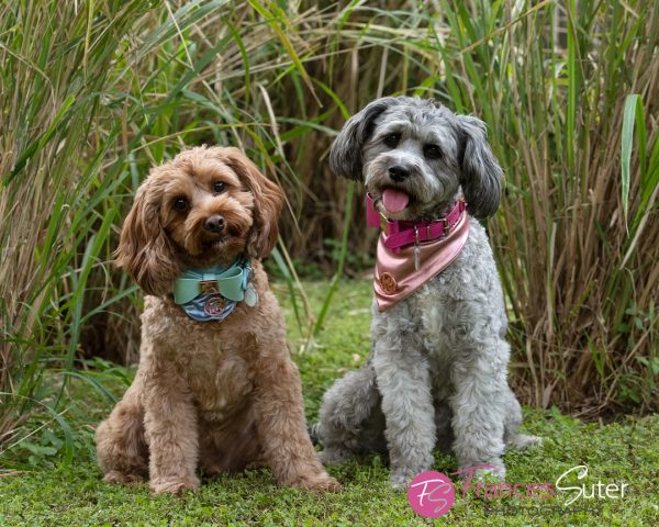 Angus and Layla Richards