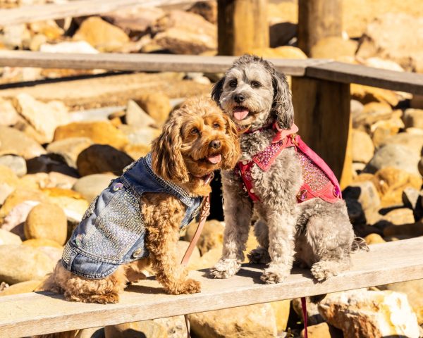 Angus and Layla Richards