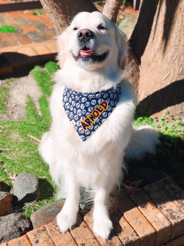 Glorious Goldens