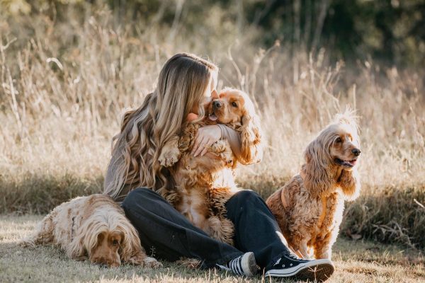 Three Golden Bears