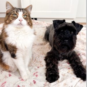Archie and George