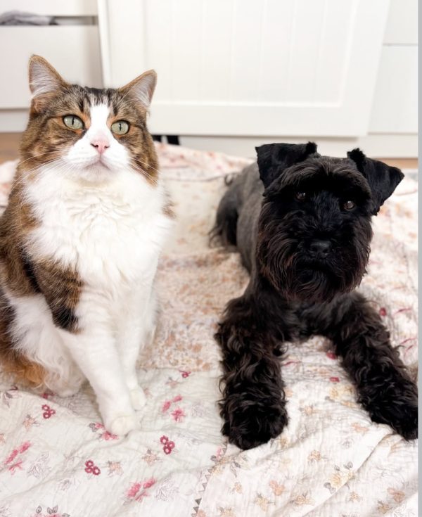 Archie and George